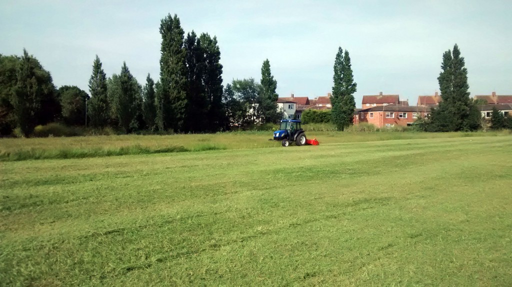 TRFC Junior Pitch