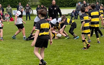 Volunteering Opportunities